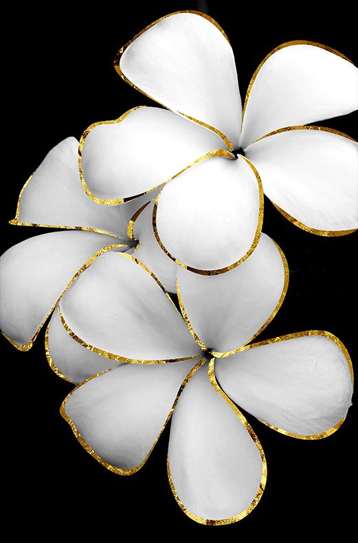 TRANH TREO TƯỜNG - TRANG TRÍ PHÒNG ĂN - PHÒNG NGỦ - CHỦ ĐỀ HOA 3D | MÃ XG-8062