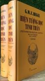 Hiện tượng học tinh thần (Hegel)