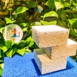 Sứ tàu hũ Ceramic chính hãng loại 1, viên vuông 10x10x5cm loại bỏ amoniac, nitrat bể cá cảnh