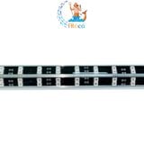 Đèn Led màu trắng xanh Baoyu BY 90cm 28W, 1m1 32W, 1m4 40W, 1m7 48W, 1m9 60W cho bể cá rồng Bối tím Blue Base