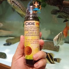 CZ18 Paracide diệt sán, ký sinh trùng bên ngoài cho cá Rồng, cá Koi, cá cảnh