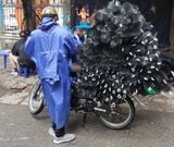 Chổi Lọc 60cm – 80cm – 100cm -120cm cho ngăn lắng hồ koi 01 chiếc, thùng 50 cái, thùng 100 cái