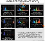 Combo 2 Bóng đèn LED 2 hàng bóng Dual Pro T5HO 90cm - 100cm, 120cm - 140cm, 150cm tanning cho cá rồng