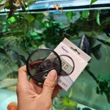 Nhiệt kế điện tử WT-997 đo nhiệt độ nước bể cá cảnh