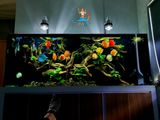 Đèn UV Moutain Tree công suất 15W- 20W (MTUV 15 - MTUV 20) diệt rêu,tảo, khuẩn có hại cho bể cá cảnh