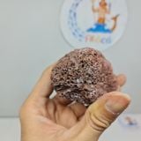 Đá nham thạch đỏ Trung Quốc cỡ to lọc nước cho bể cá cảnh