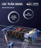 Lọc tràn trên kẹp thành bể cá baoyu G30 , G50 , G60 hồcá 60x30x30cm