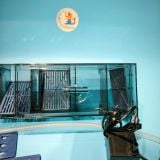 Lọc tràn trên kẹp thành bể cá baoyu G30 , G50 , G60 hồcá 60x30x30cm