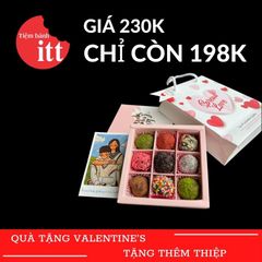 Chocolate HV2001