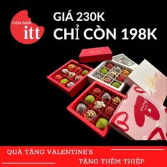 Chocolate HV2002