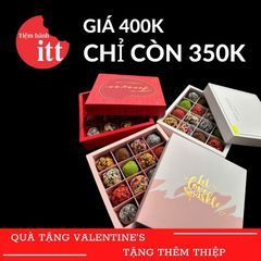 Chocolate HV3503