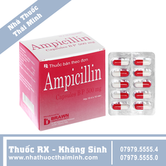 Thuốc Ampicillin 500mg - hỗ trợ điều trị viêm đường hô hấp trên (10 vỉ x 10 viên)