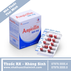 Thuốc Ampicillin 500mg - hỗ trợ điều trị viêm đường hô hấp trên (10 vỉ x 10 viên)