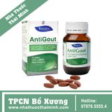 ANTIGOUT - HỖ TRỢ ĐIỀU TRỊ GOUT