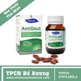 ANTIGOUT - HỖ TRỢ ĐIỀU TRỊ GOUT