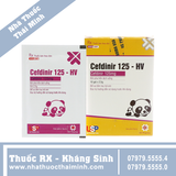 Thuốc bột pha hỗn dịch uống Cefdinir 125-HV - điều trị nhiễm khuẩn (10 gói)