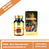 FUCOXXEL Pharmaxx (Hộp 30 viên) - Hỗ Trợ Phục Hồi Hệ Miễn Dịch Sau Các Đợt Hóa Trị, Xạ Trị