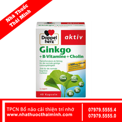 GINKGO + B-VITAMINS + CHOLINE 5000MG DOPPLEHERZ (Hộp 30 viên) - Bổ Não