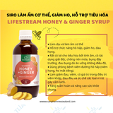 LIFESTREAM HONEY & GINGER SYRUP 200ML