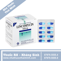 Thuốc Lincomycin 500mg - điều trị nhiễm khuẩn (20 vỉ x 10 viên)