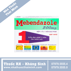 Thuốc Mebendazole 500mg - điều trị nhiễm một hay nhiều loại giun (1 viên)