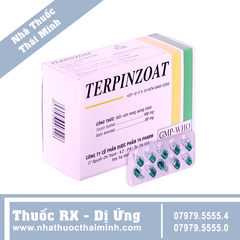 Thuốc Terpinzoat TV.PHARM làm loãng đờm và hỗ trợ điều trị các triệu chứng ho (100 viên)