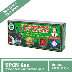 Trà túi lọc HOÀN NGỌC hộp xanh