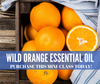 Tinh dầu cam hoang dã uống làm sạch cơ thể, hệ miễn dịch mạnh mẽ Wild orange (TDĐ06)