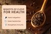 Tinh dầu Đinh hương Clove (TDĐ47)