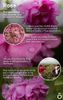 Tinh Dầu Hoa hồng Rose TDĐ14