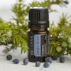 Tinh dầu quả bách xù Juniper Berry hỗ trợ sạch thận, chức năng thận và đường tiết niệu khỏe mạnh.(TDĐ61)
