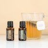 Tinh dầu Gừng Ginger TDĐ48