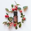 Tinh Dầu Wintergreen Nepal (TDĐ21)