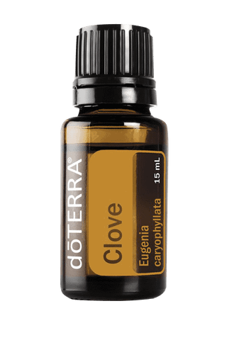 Tinh dầu Đinh hương Clove (TDĐ47)