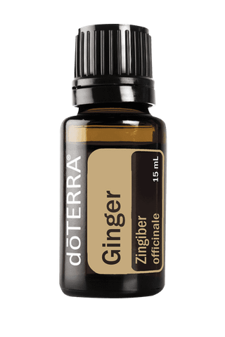 Tinh dầu Gừng Ginger TDĐ48