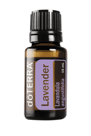 Tinh dầu Oải hương Lavender (TDĐ58)