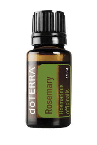 Tinh Dầu Hương thảo Rosemary (TDĐ15)