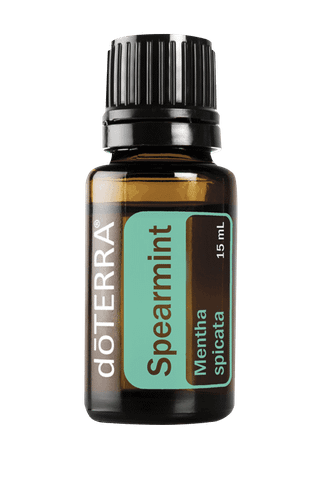 Tinh dầu bạc hà Spearmint (TDĐ02)
