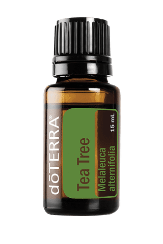Tinh dầu Tràm trà Tea Tree (TDĐ07)