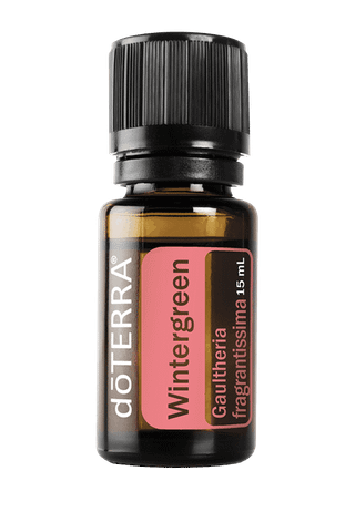 Tinh Dầu Wintergreen Nepal (TDĐ21)
