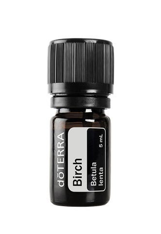 Tinh dầu Bạch Dương  Birch TDĐ87