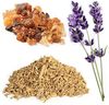 Dầu cúc trường sinh Siêu chống nhăn, đào thải nám đồi mồi, vết thâm Immortelle Anti-Aging Blend (TDHH09)