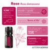 Tinh Dầu Hoa hồng Rose TDĐ14