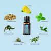 dōTERRA Breathe® Oil đường Hô hấp thông thoáng dễ thở (TDHH28)