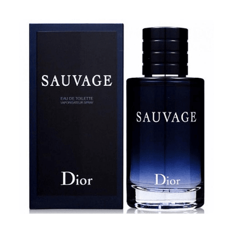 Nước Hoa Nam Christian Dior Sauvage (Pháp) NH31