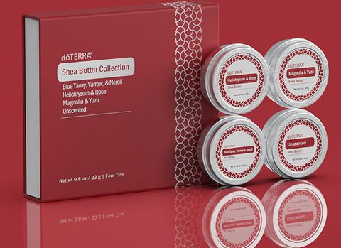 Bộ sưu tập bơ hạt mỡ Shea Butter Collection CSCT31