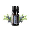 Tinh dầu quả bách xù Juniper Berry hỗ trợ sạch thận, chức năng thận và đường tiết niệu khỏe mạnh.(TDĐ61)