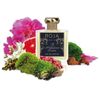 Nước Hoa Unisex Roja Parfums A Midsummer Dream (Anh) NH87