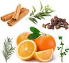 Tinh dầu uống bảo vệ các mối đe dọa từ môi trường, thời tiết xấu, nâng cao hệ miễn dịch khỏe mạnh dōTERRA On Guard® Oil (TDHH39)