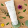 Sữa rửa mặt Tinh dầu Tràm trà và Bạc Hà nguyên chất làm sạch tự nhiên Facial Cleanser doTerra (CSD09)